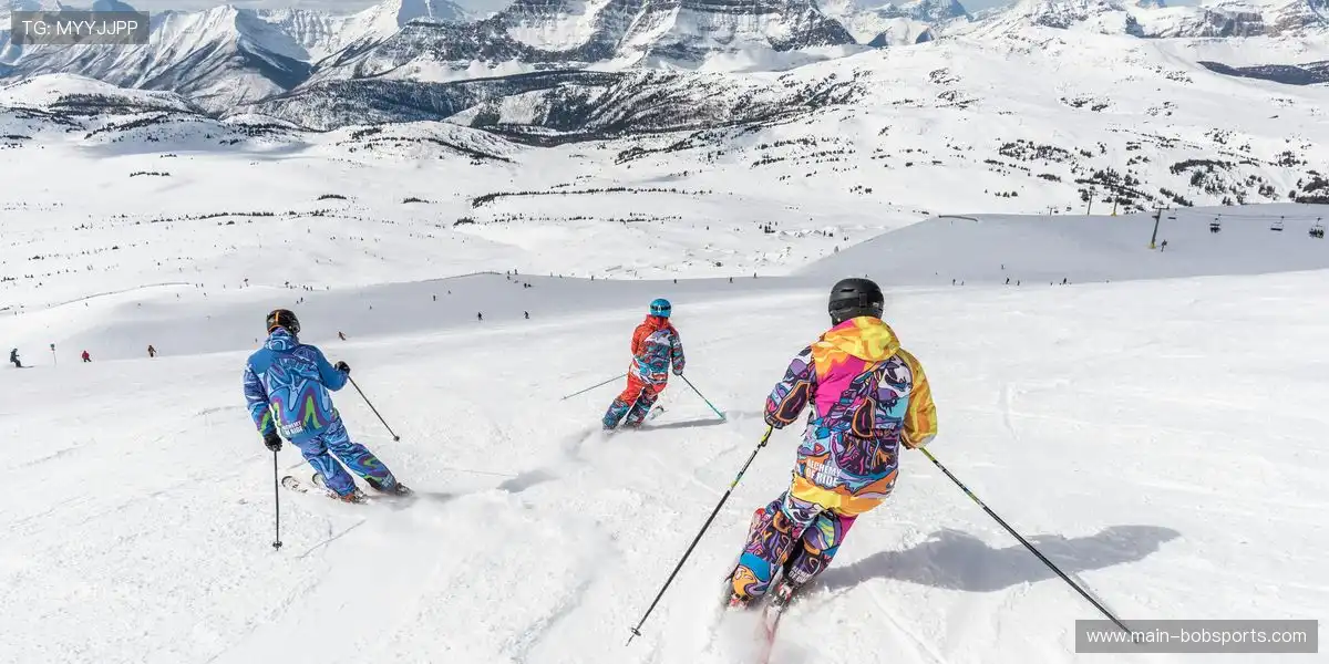 💼 数据直接导出报告，省时省力